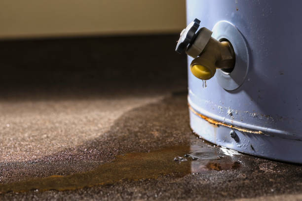 Best Water damage contractors near me  in Mesa Del Caballo, AZ