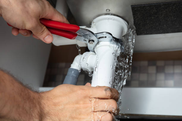 Best Flood damage cleanup  in Mesa Del Caballo, AZ