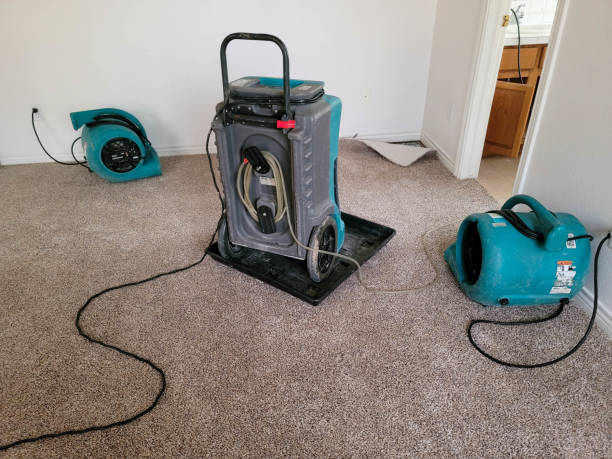 Best Commercial water damage restoration  in Mesa Del Caballo, AZ