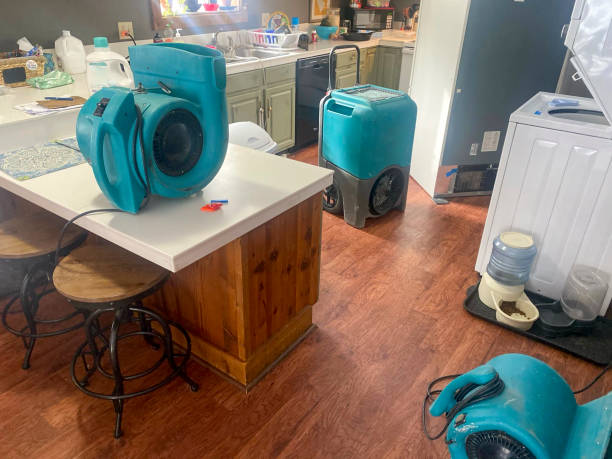 Best Fire Damage Restoration  in Mesa Del Caballo, AZ