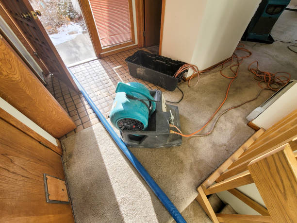 Best Professional water damage repair  in Mesa Del Caballo, AZ