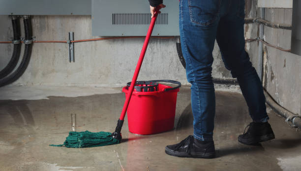 Water damage restoration experts in Mesa Del Caballo, AZ