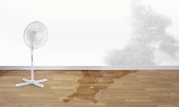 Best 24-hour water damage restoration  in Mesa Del Caballo, AZ