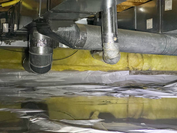 Best 24/7 water damage repair  in Mesa Del Caballo, AZ