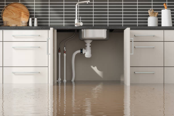 Best Emergency water damage restoration  in Mesa Del Caballo, AZ