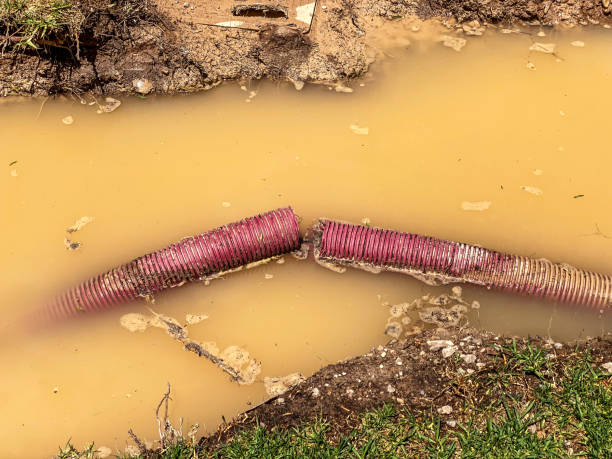 Reliable Mesa Del Caballo, AZ Water damage restoration Solutions