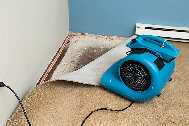 24/7 water damage repair in Mesa Del Caballo, AZ